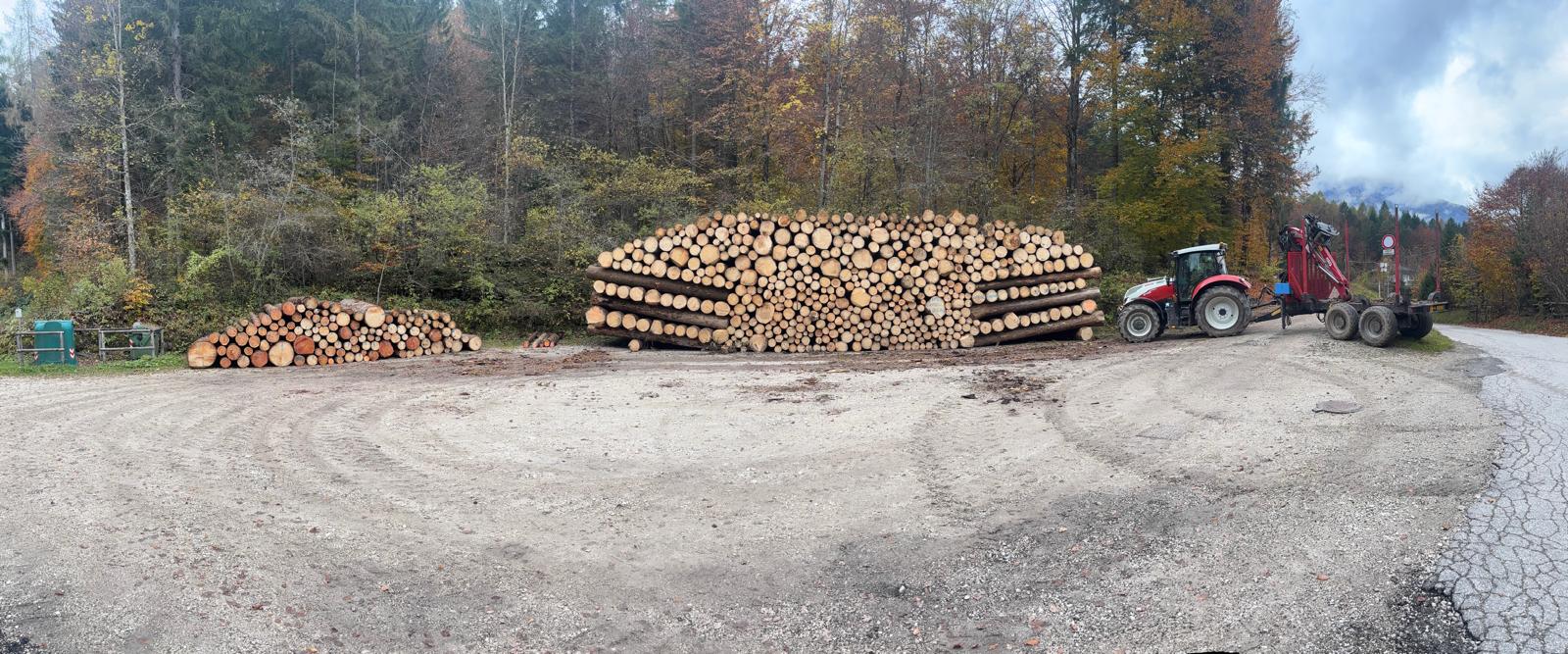 Cataste di tronchi in un piazzale di montagna