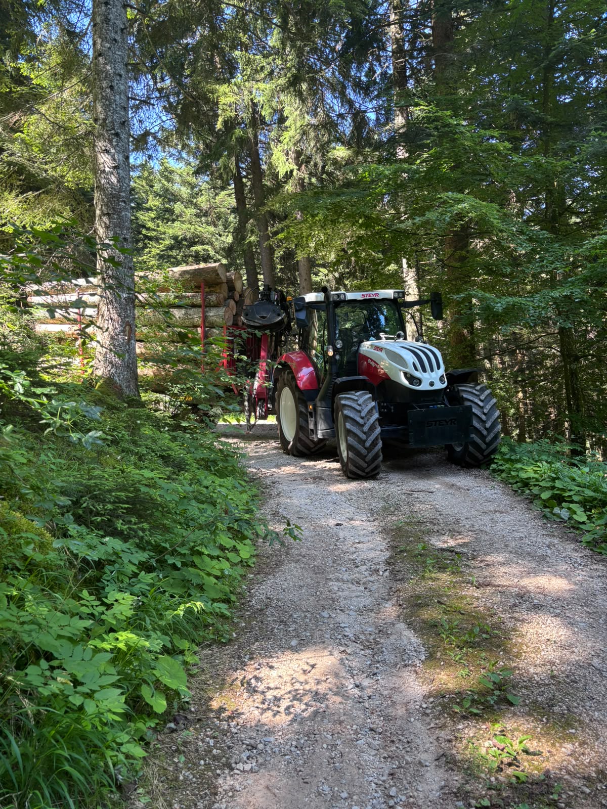 Trattore forestale con rimorchio di tronchi su strada nel bosco